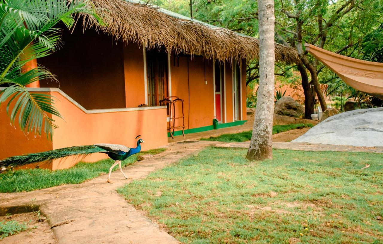 טיסמהרמה Sarada Beach Resort Yala מראה חיצוני תמונה