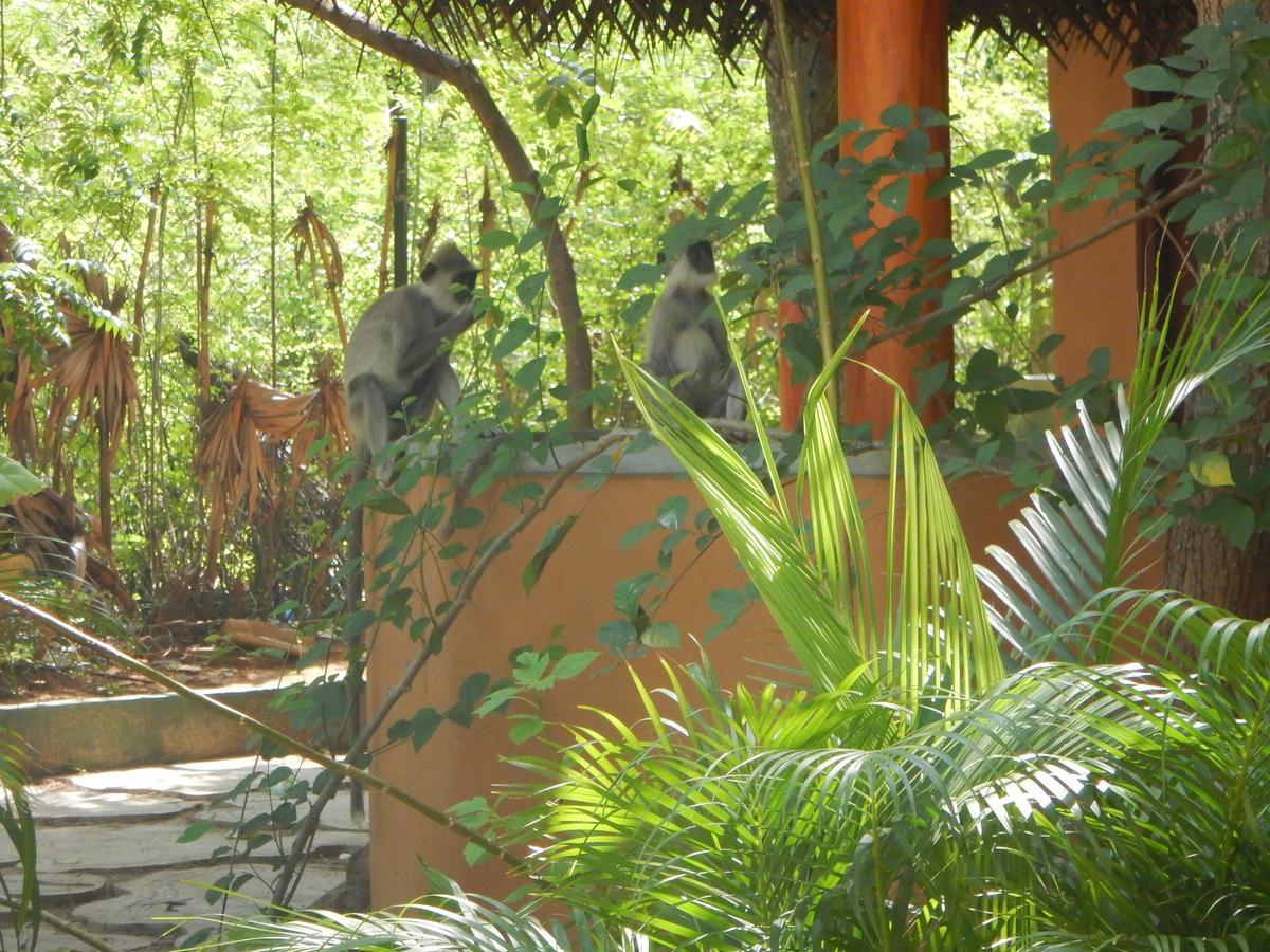טיסמהרמה Sarada Beach Resort Yala מראה חיצוני תמונה